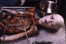 alien autopsy or fraud?