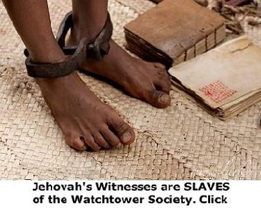 jehovah's witnesses answered taking in knowledge