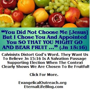 what is calvinism calvinism election