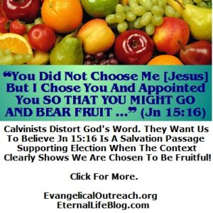 what is calvinism calvinism election