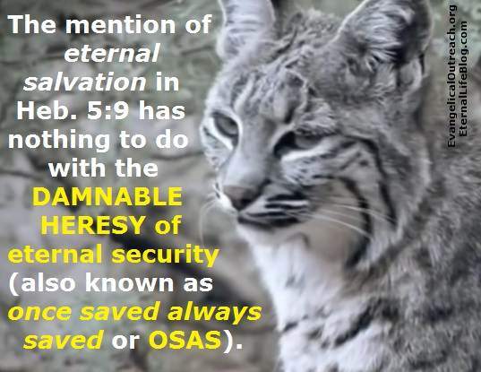 eternal security once saved always saved