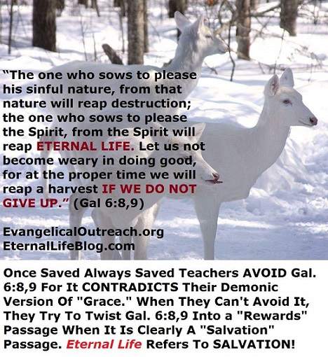once saved always saved eternal security