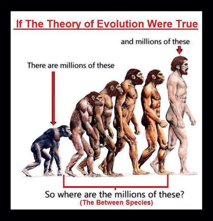 Evolution lie 