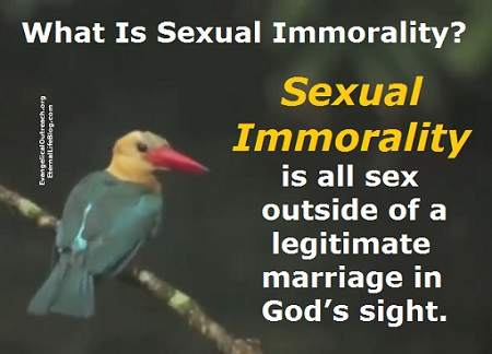 What Does The Bible Say About Sexual Immorality 86