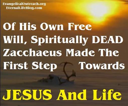Zacchaeus Luke 19 1 10 Is An AMAZING Bible Study