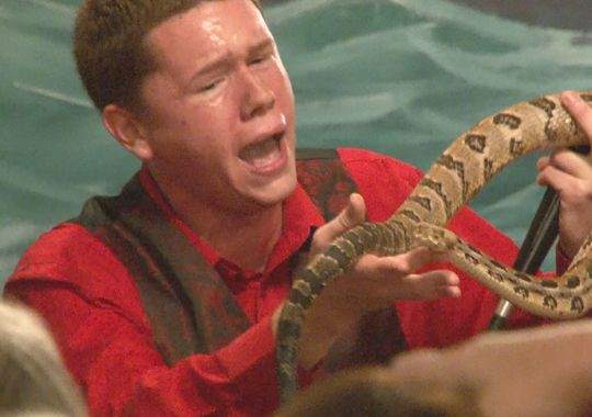 snake handling Andrew Hamblin