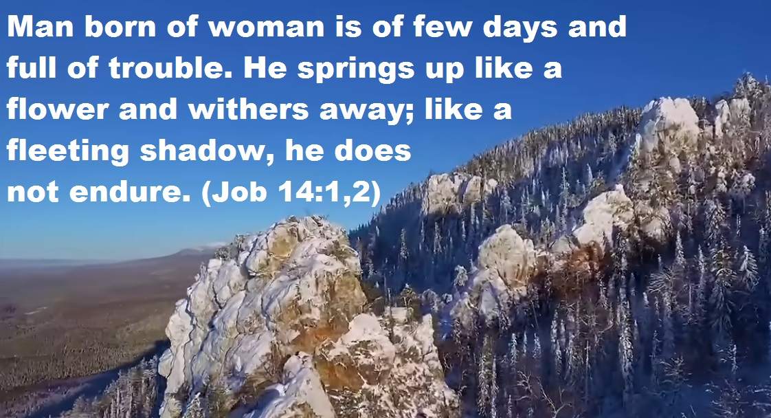 consider what job said