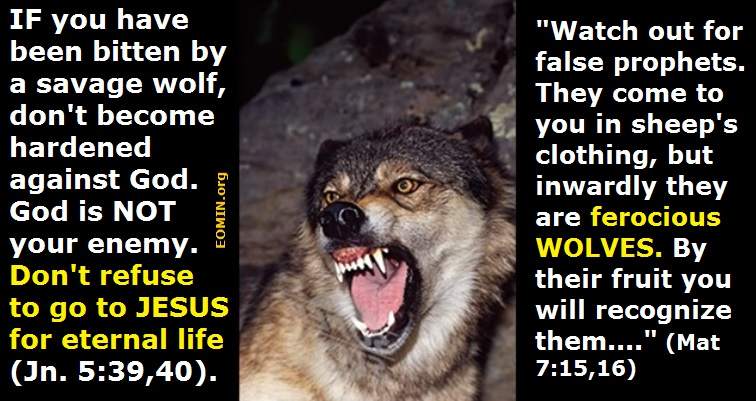 What Is A Jehovah Witness Poem MUST READ