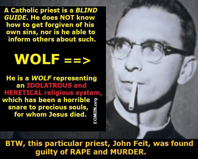 catholic wolf blind guide