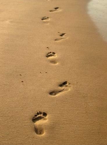 footsteps in the sand