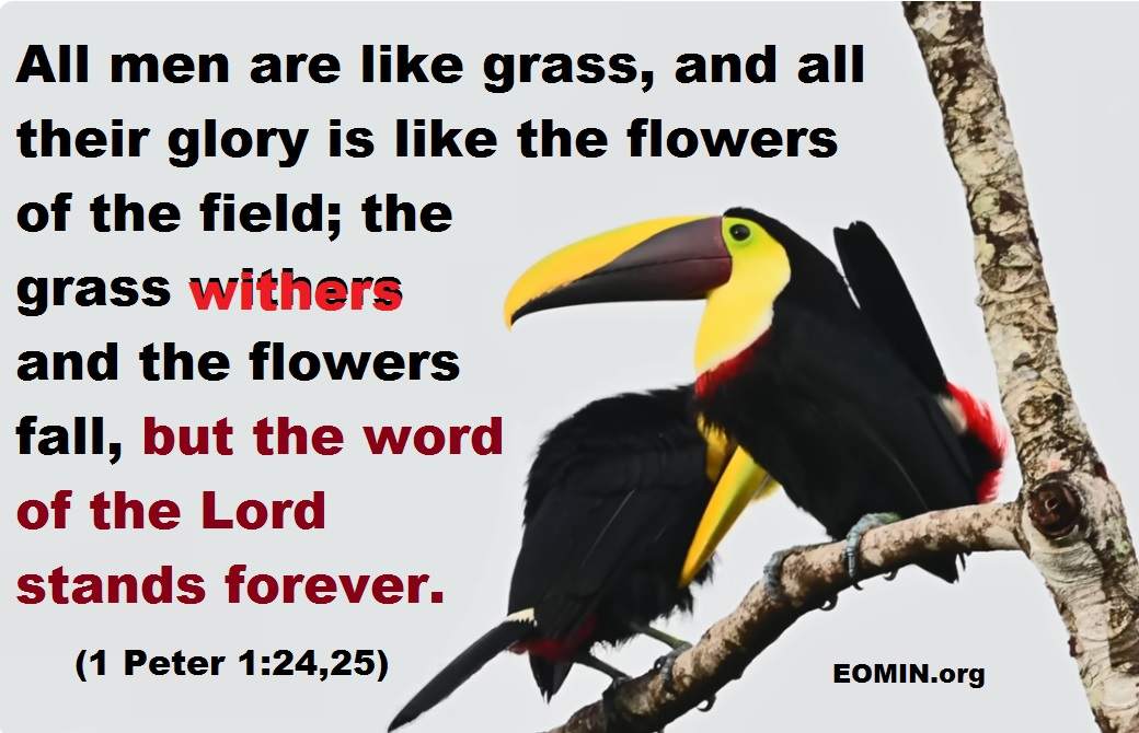 everything is temporary