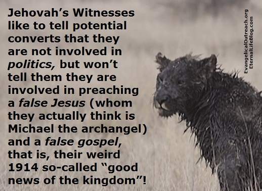 jehovahs witnesses politics