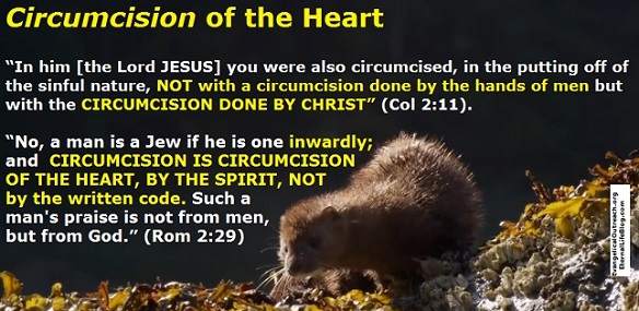 Salvation is found in JESUS, not in keeping the Mosaic law! Messianic Judaism is wrong. Messianic Judaism wrong beliefs