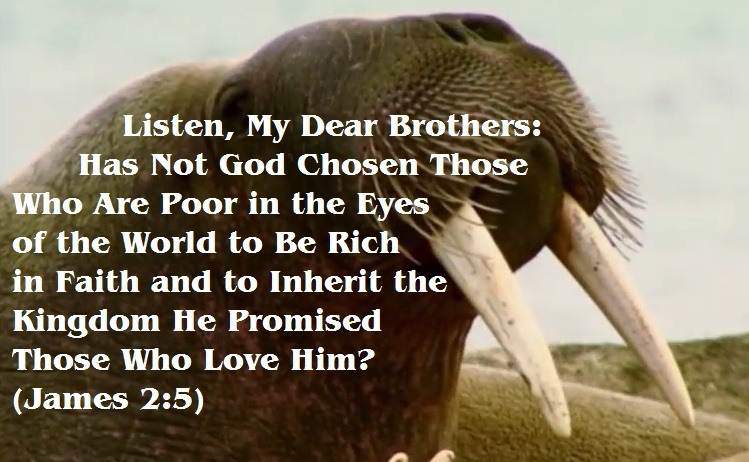 poor inherit the promised kingdom