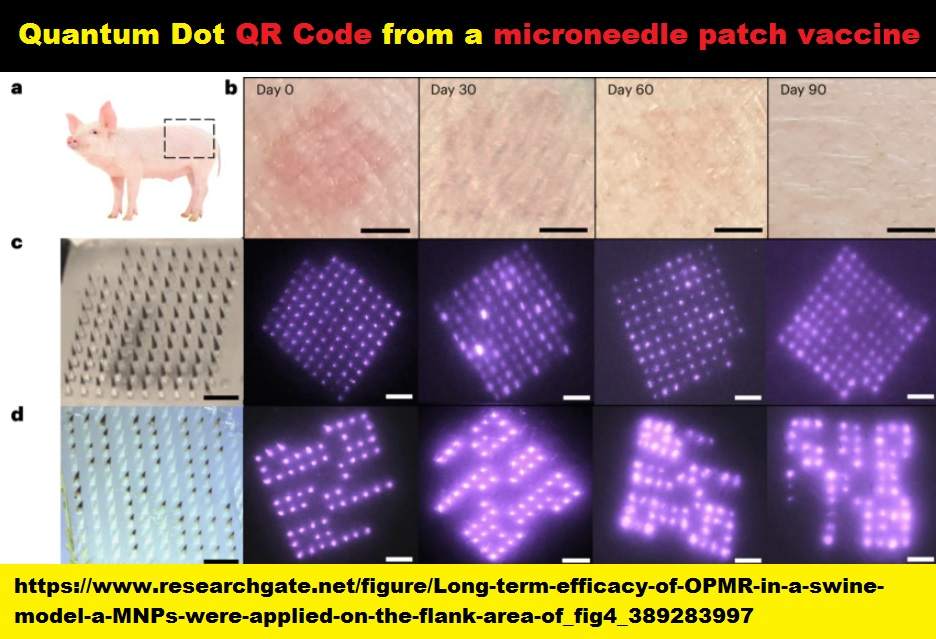 quantum dot
