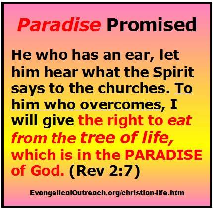 paradise