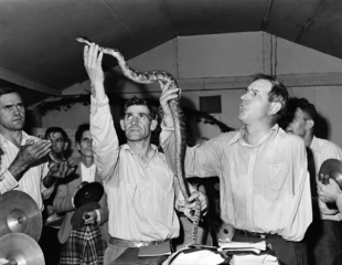 snake handling