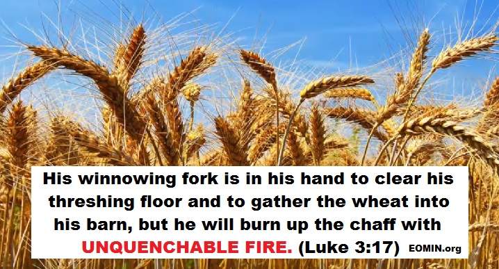 wheat or chaff