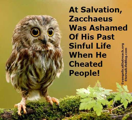 zacchaeus