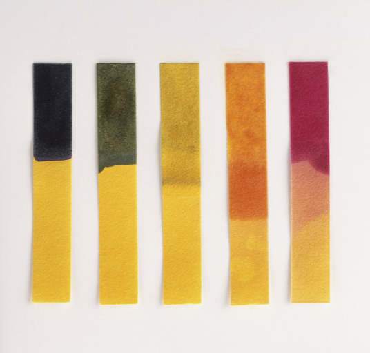 litmus paper